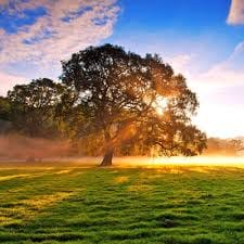 Sanjaya Mataram avatar